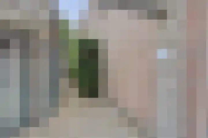 Dukdalf 1 d Wijk bij Duurstede thumbnail 27
