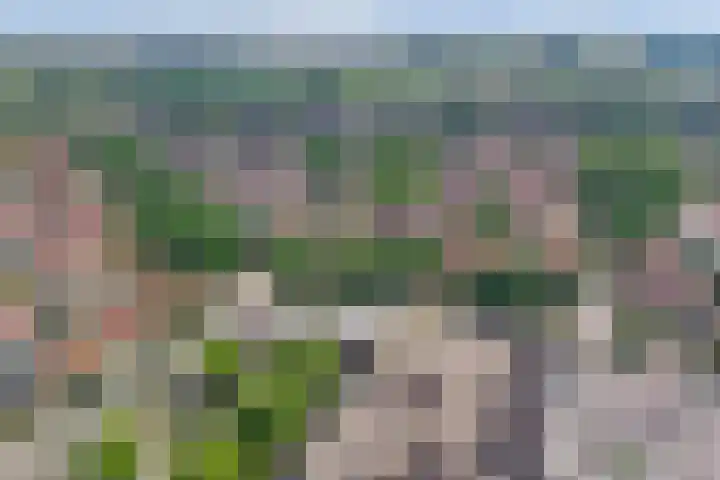 Dukdalf 1 d Wijk bij Duurstede thumbnail 29