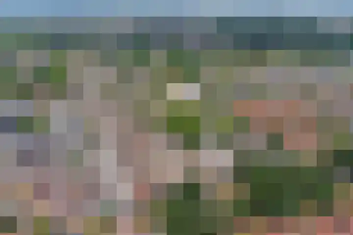 Dukdalf 1 d Wijk bij Duurstede thumbnail 30