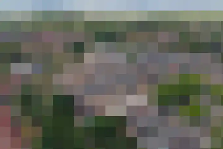 Dukdalf 1 d Wijk bij Duurstede thumbnail 31