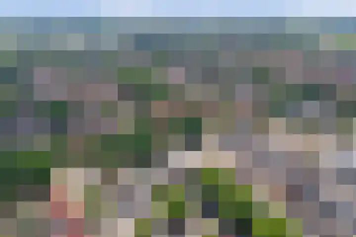 Dukdalf 1 d Wijk bij Duurstede thumbnail 32