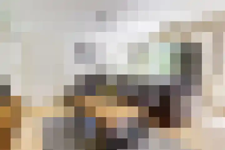 Dukdalf 1 d Wijk bij Duurstede thumbnail 5