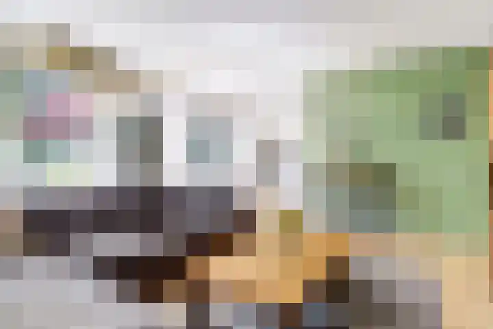 Dukdalf 1 d Wijk bij Duurstede thumbnail 6