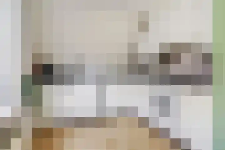 Dukdalf 1 d Wijk bij Duurstede thumbnail 8