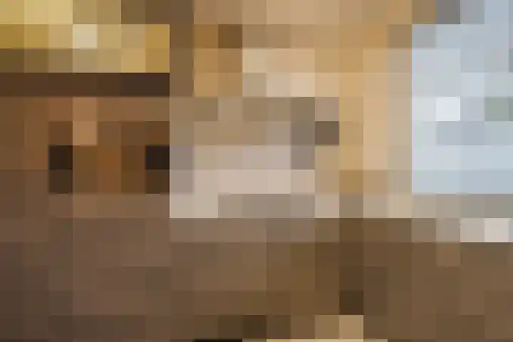 Dukdalf 10 Hellevoetsluis thumbnail 10
