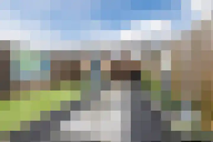 Dukdalf 10 Hellevoetsluis thumbnail 25