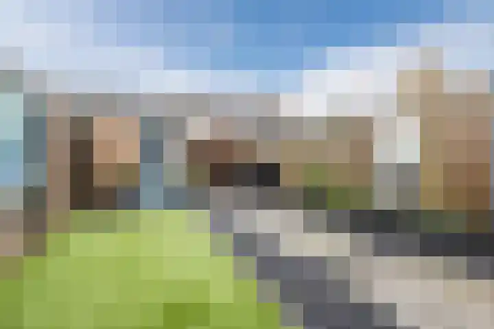 Dukdalf 10 Hellevoetsluis thumbnail 26