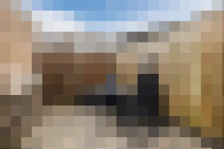 Dukdalf 10 Hellevoetsluis thumbnail 28