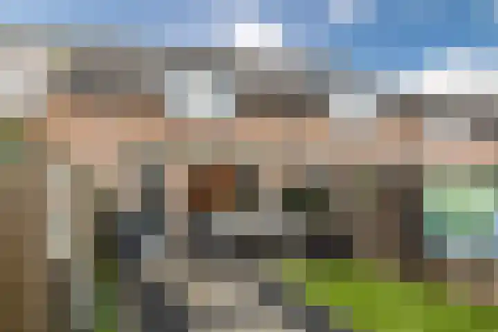 Dukdalf 10 Hellevoetsluis thumbnail 29