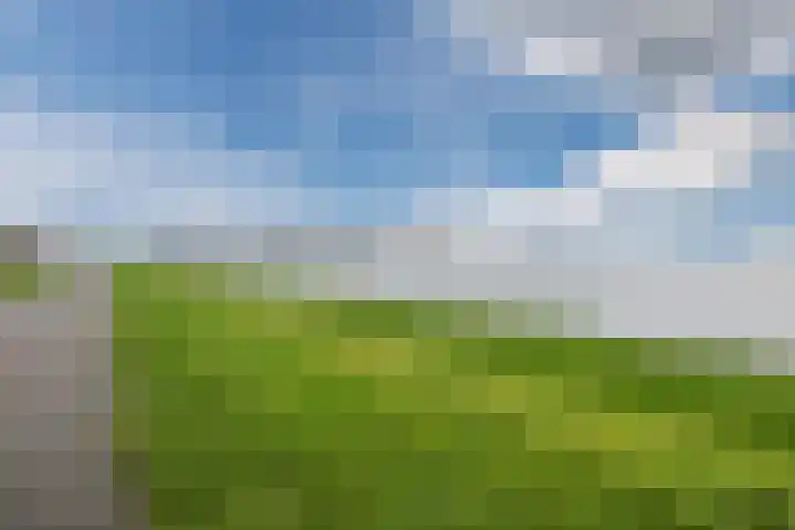 Dukdalf 10 Hellevoetsluis thumbnail 31