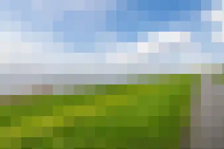 Dukdalf 10 Hellevoetsluis thumbnail 32