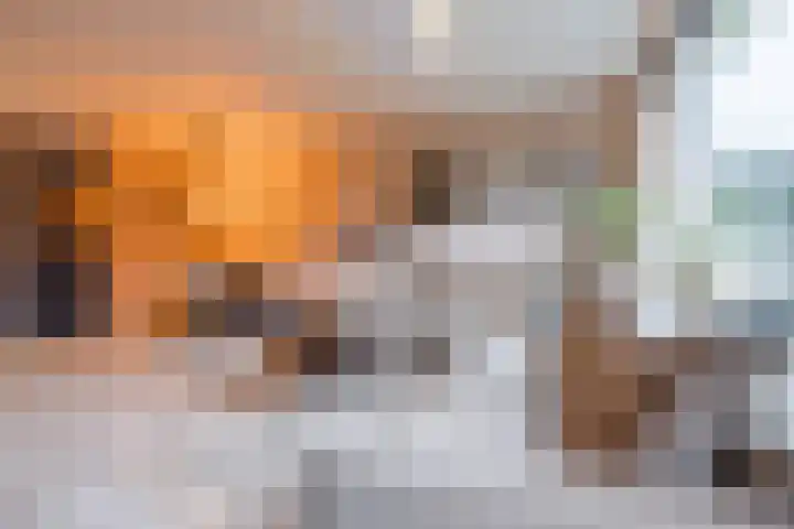 Dukdalf 10 Hellevoetsluis thumbnail 5