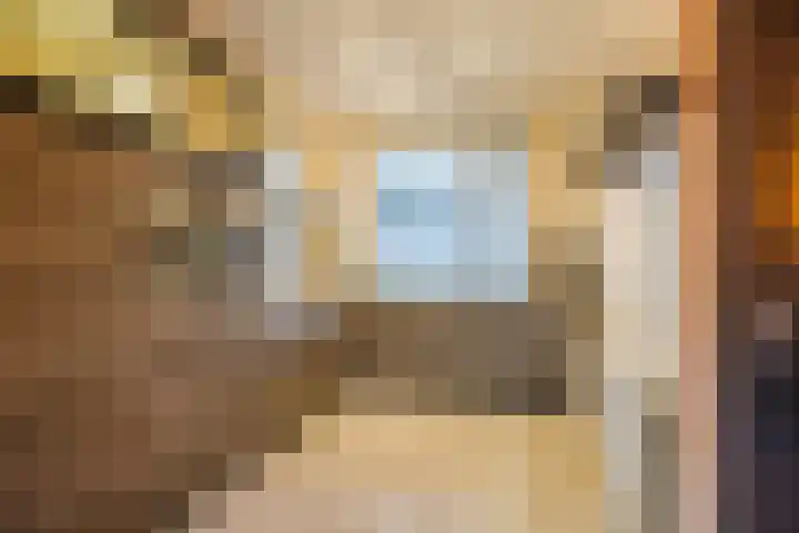 Dukdalf 10 Hellevoetsluis thumbnail 9
