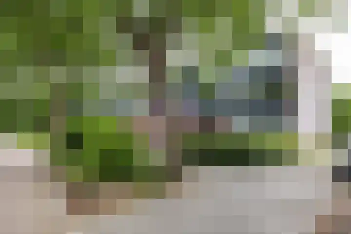 Dukdalf 118 in Groningen