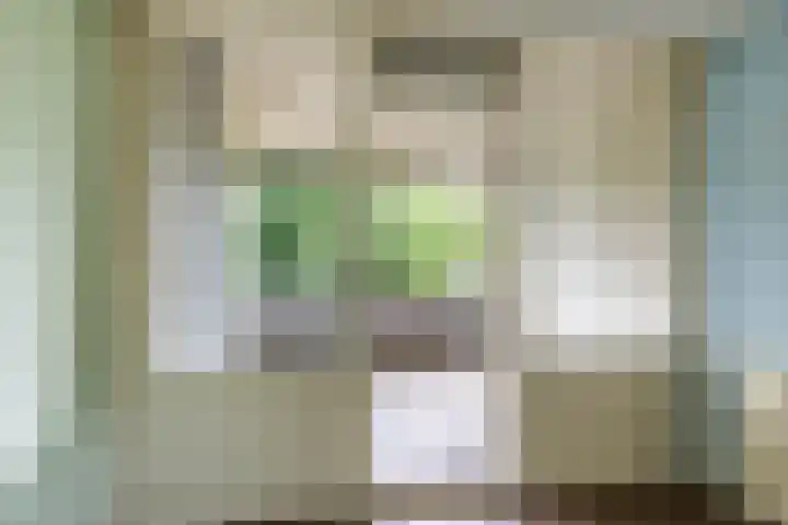 Dukdalf 118 Groningen thumbnail 21