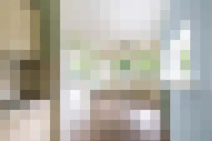Dukdalf 118 Groningen thumbnail 29