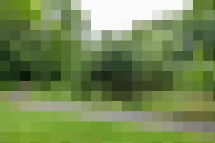 Dukdalf 118 Groningen thumbnail 4