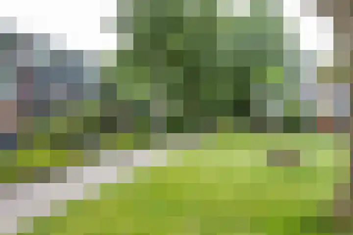 Dukdalf 118 Groningen thumbnail 7