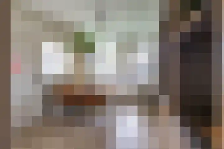 Dukdalf 128 Groningen thumbnail 15
