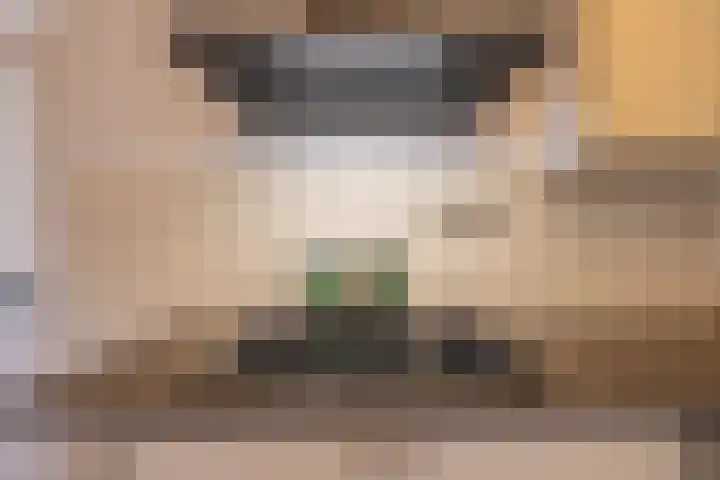 Dukdalf 128 Groningen thumbnail 17