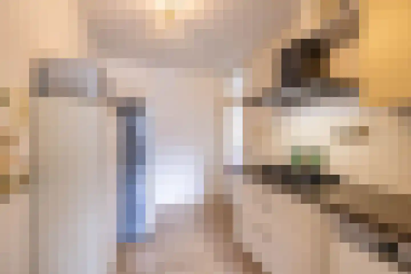 Dukdalf 128 Groningen thumbnail 18