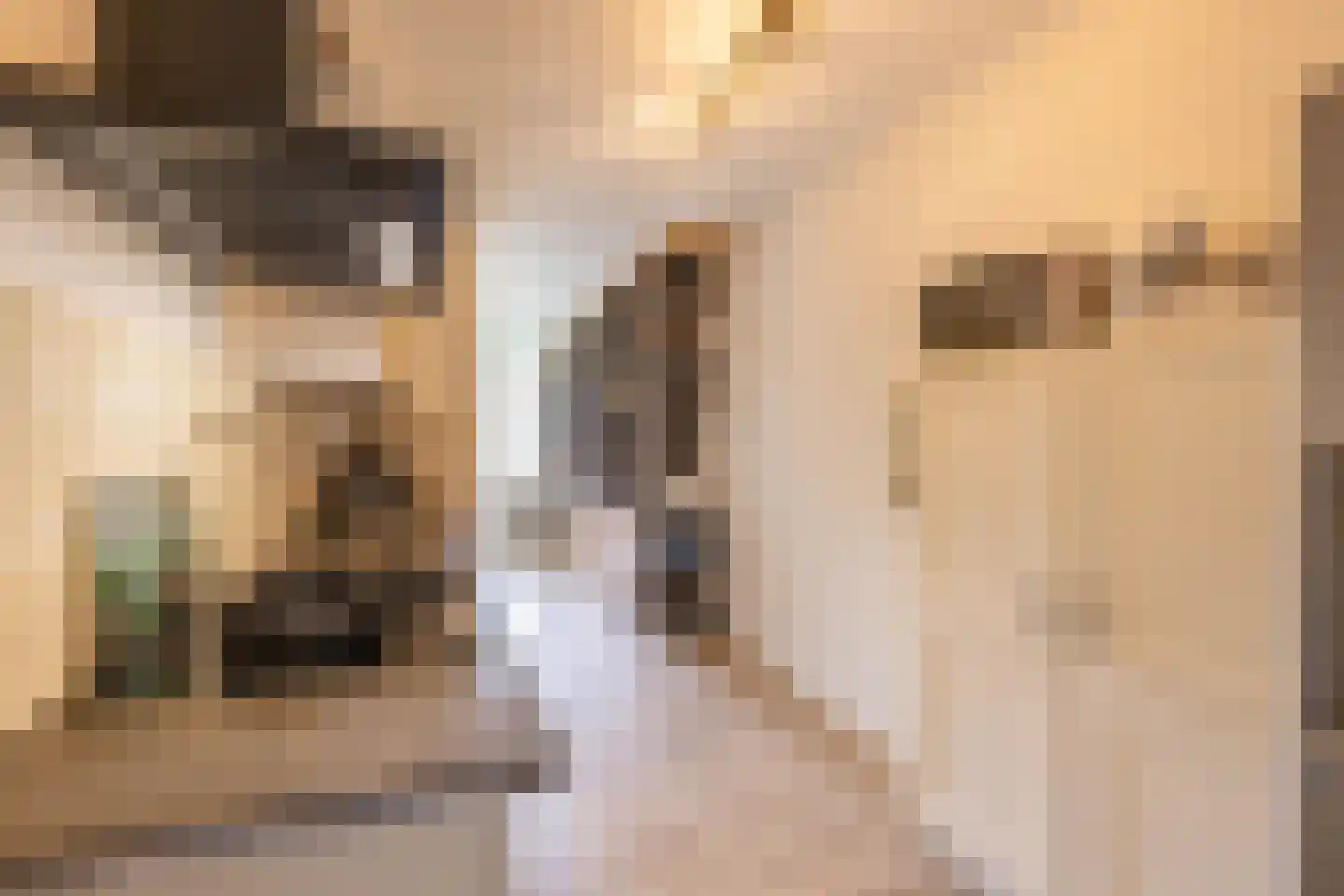 Dukdalf 128 Groningen thumbnail 19