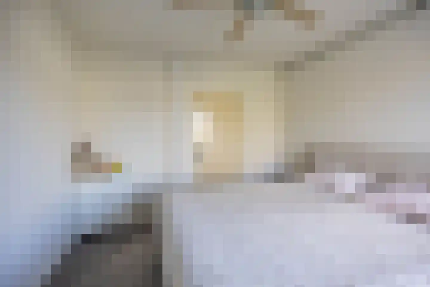 Dukdalf 128 Groningen thumbnail 22
