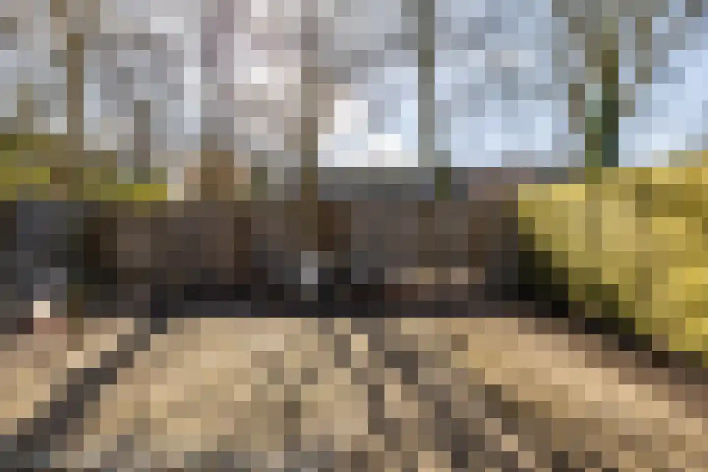Dukdalf 128 Groningen thumbnail 29