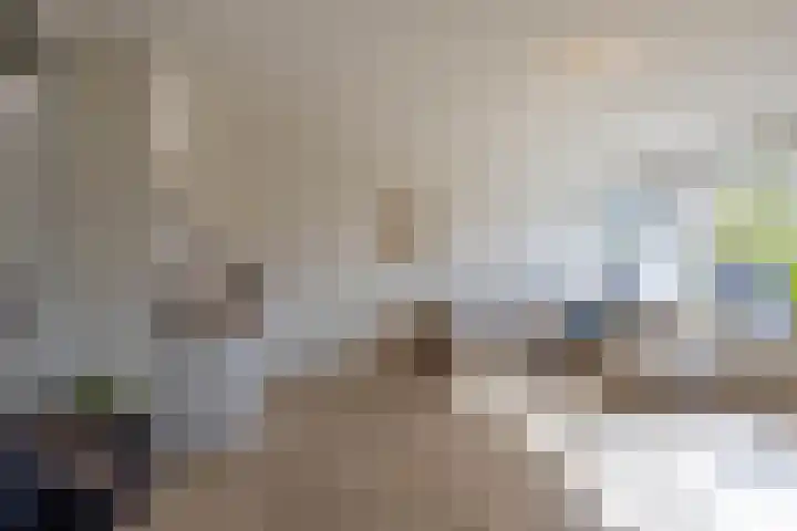 Dukdalf 128 Groningen thumbnail 6