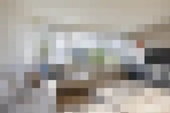 Dukdalf 128 Groningen thumbnail 7