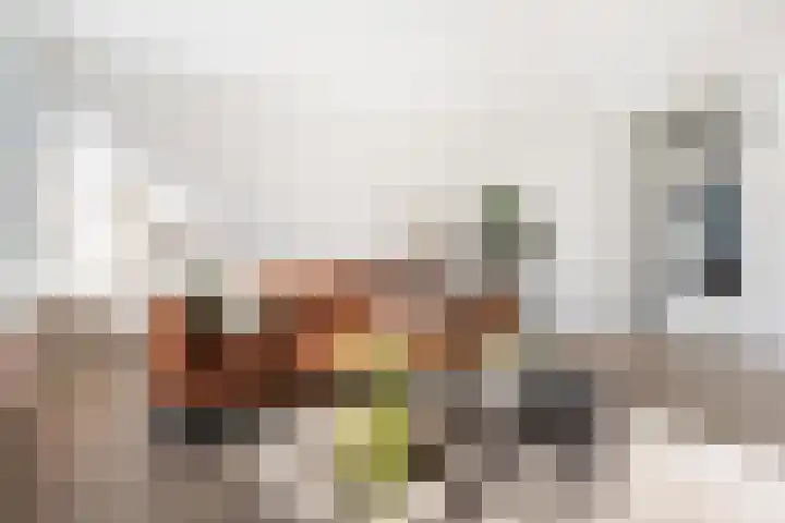 Dukdalf 129 Groningen thumbnail 10