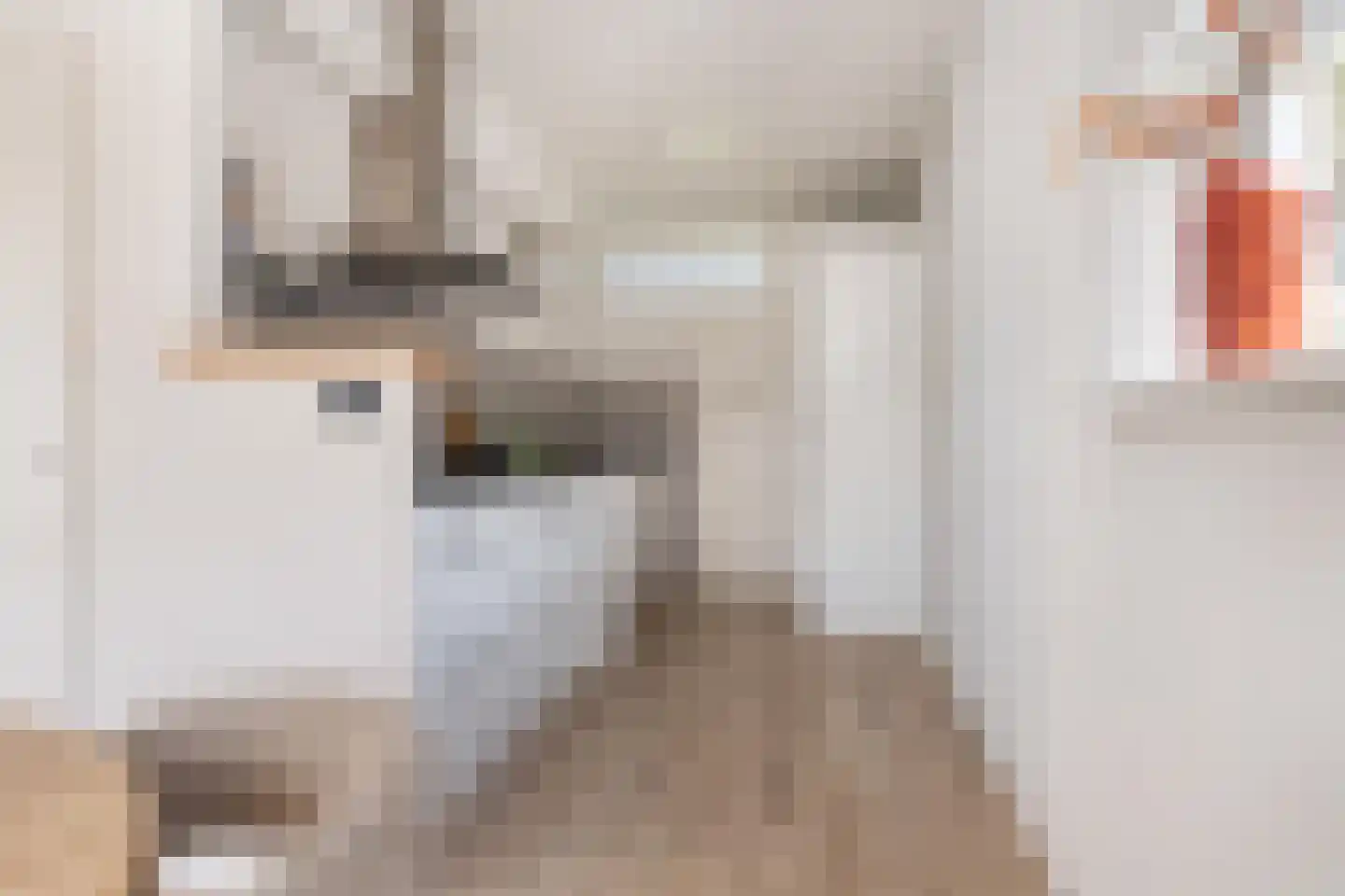 Dukdalf 129 Groningen thumbnail 17