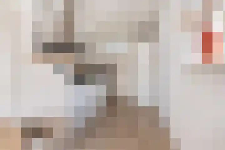 Dukdalf 129 Groningen thumbnail 17