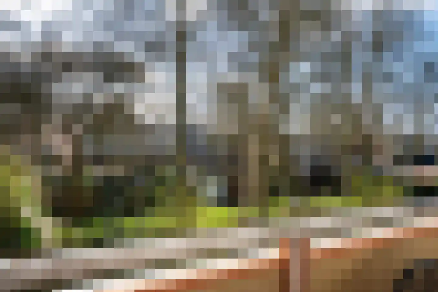 Dukdalf 129 Groningen thumbnail 21