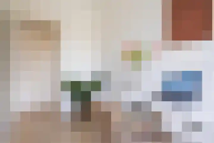 Dukdalf 129 Groningen thumbnail 29