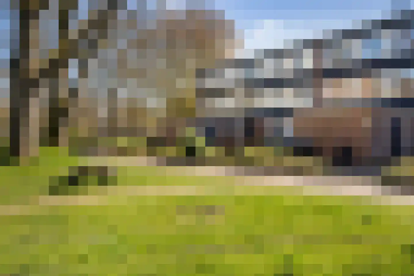 Dukdalf 129 Groningen thumbnail 32