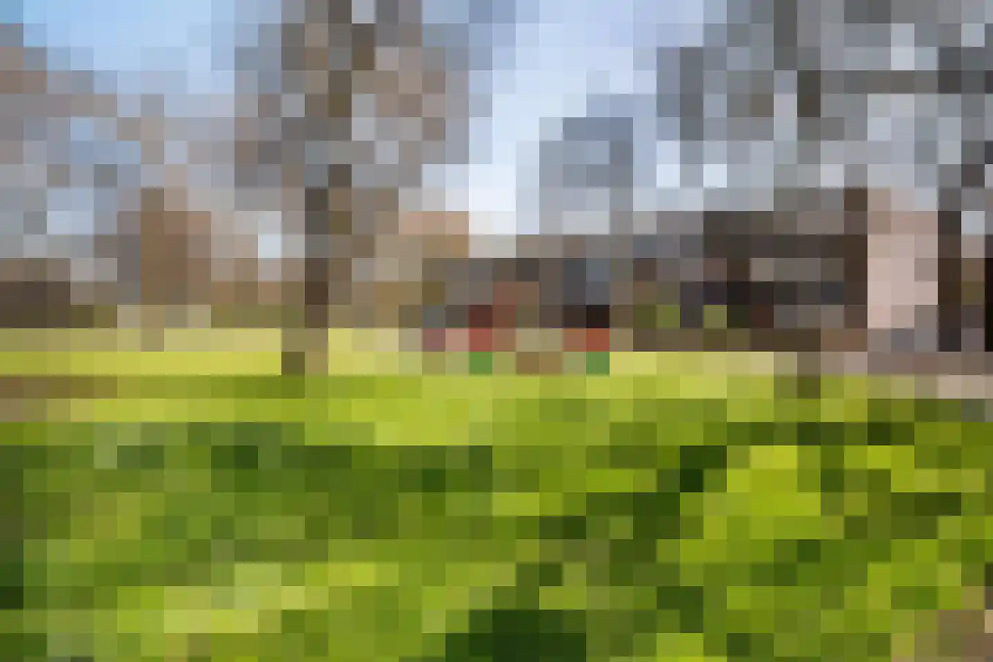 Dukdalf 129 Groningen thumbnail 33