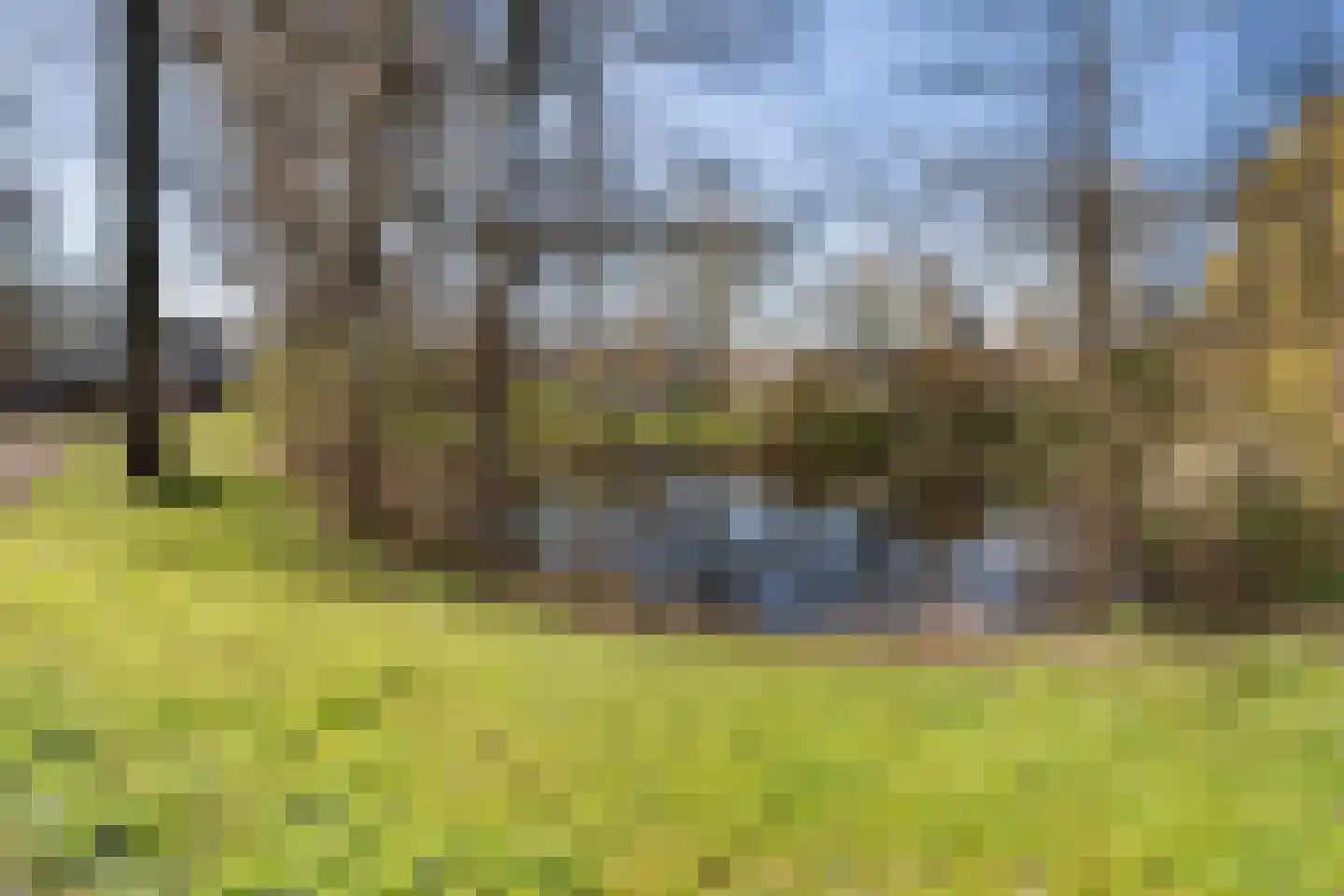 Dukdalf 129 Groningen thumbnail 34