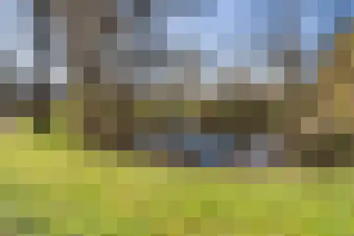 Dukdalf 129 Groningen thumbnail 34