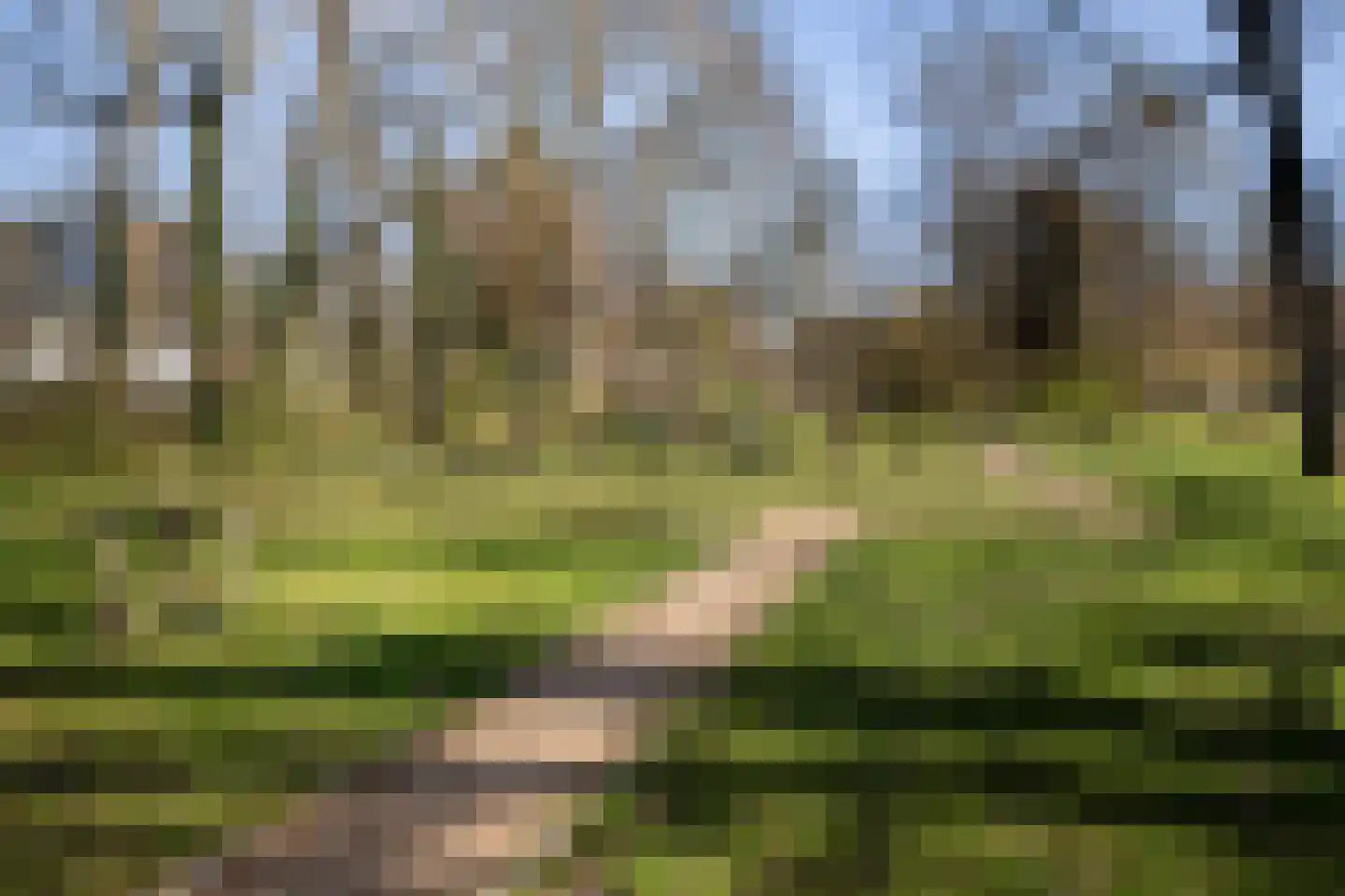 Dukdalf 129 Groningen thumbnail 35