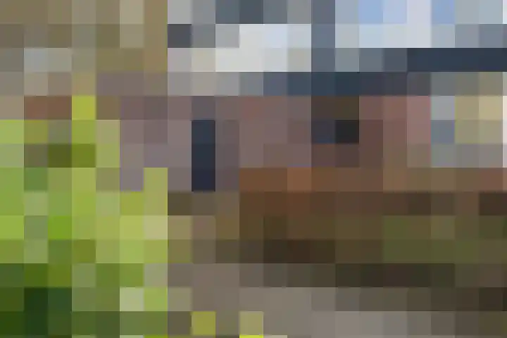 Dukdalf 129 Groningen thumbnail 5