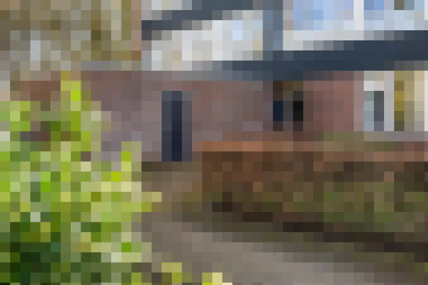 Dukdalf 129 Groningen thumbnail 5
