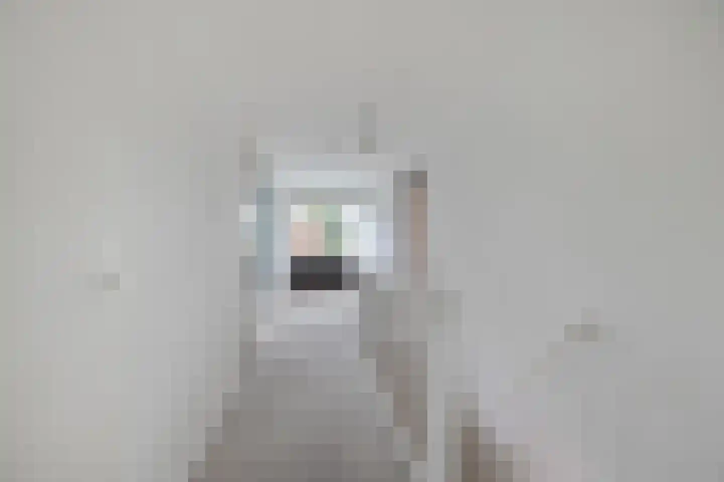 Dukdalf 154 Groningen thumbnail 23