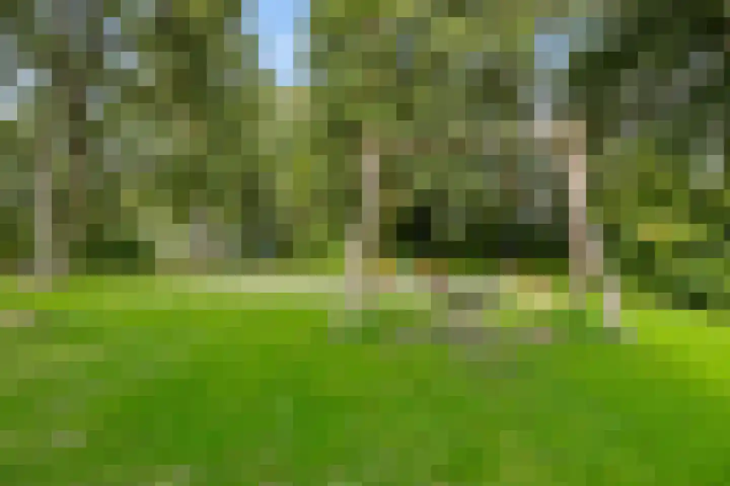 Dukdalf 154 Groningen thumbnail 34