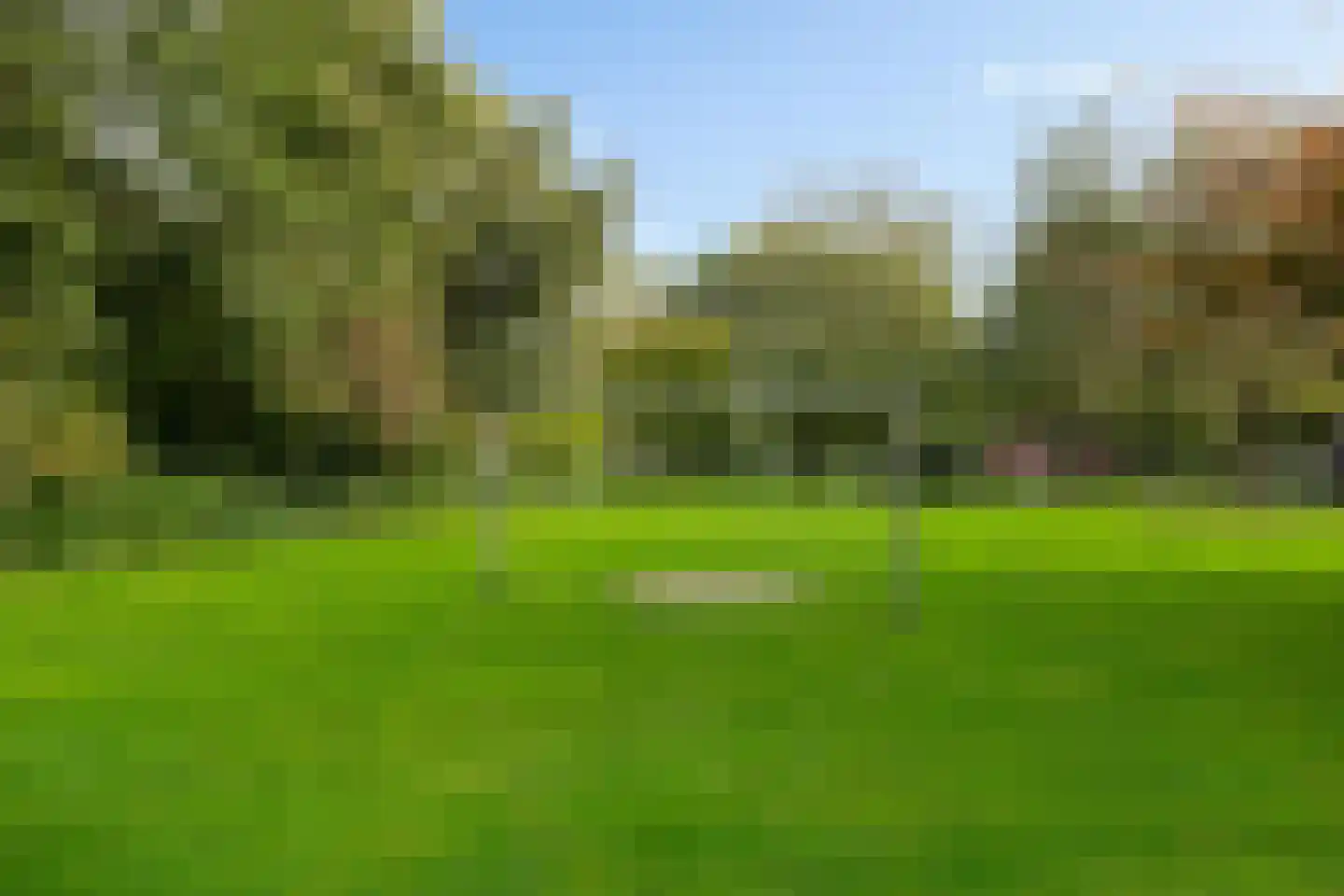 Dukdalf 154 Groningen thumbnail 35