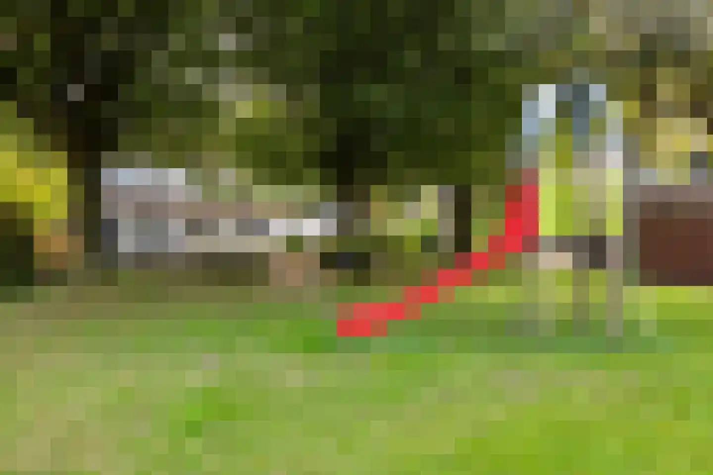 Dukdalf 154 Groningen thumbnail 36