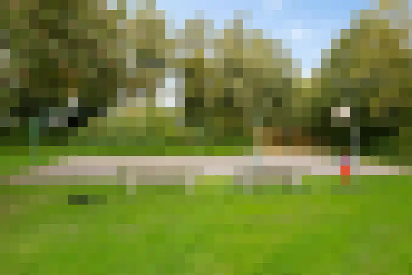 Dukdalf 154 Groningen thumbnail 37