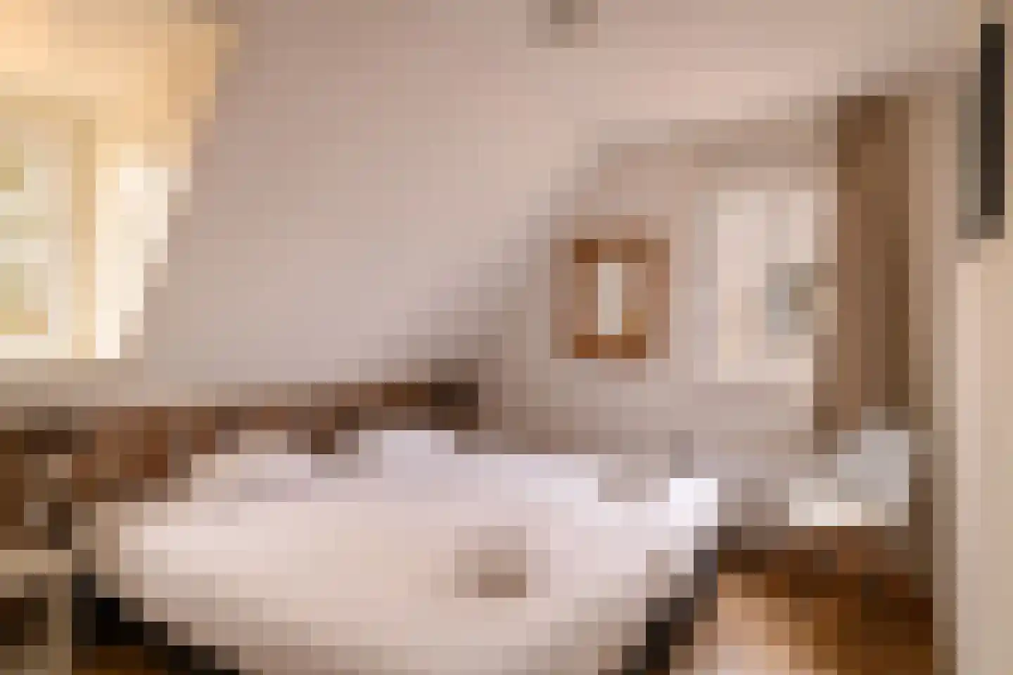 Dukdalf 21 Maastricht thumbnail 11