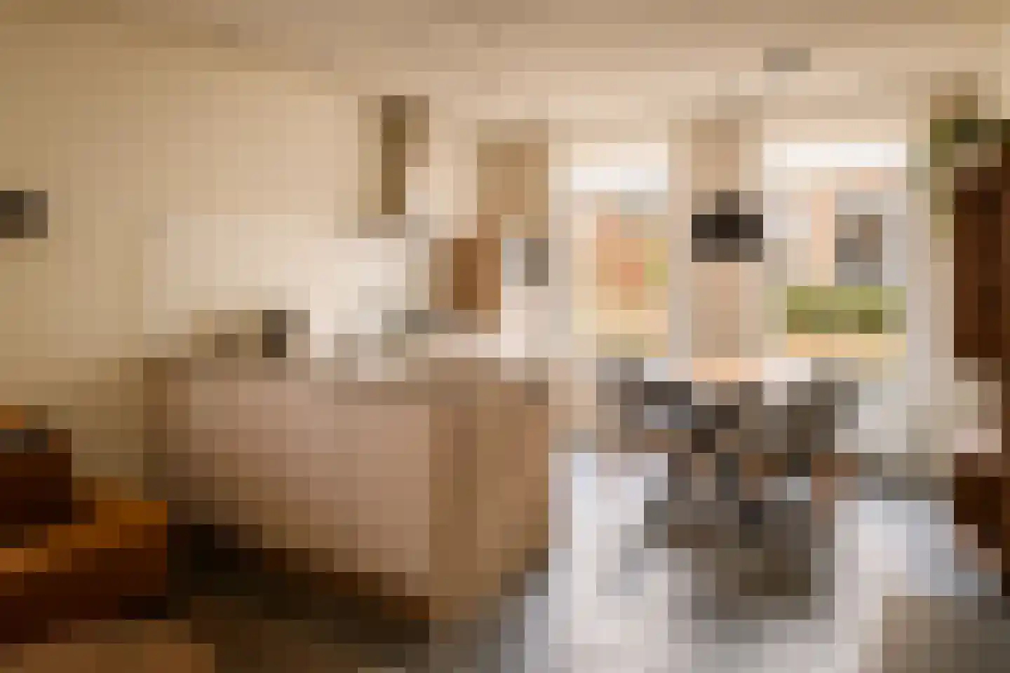 Dukdalf 21 Maastricht thumbnail 4