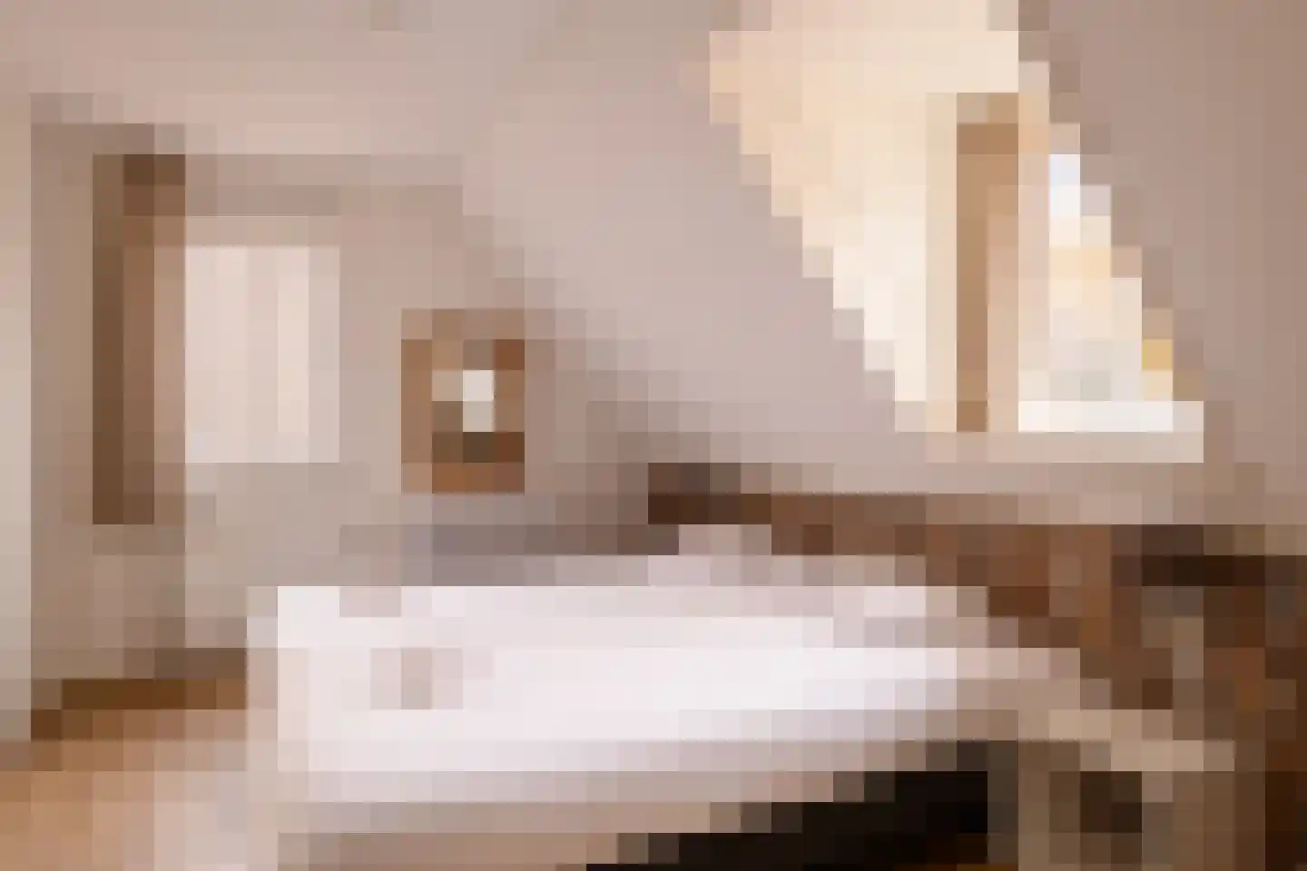 Dukdalf 21 Maastricht thumbnail 9